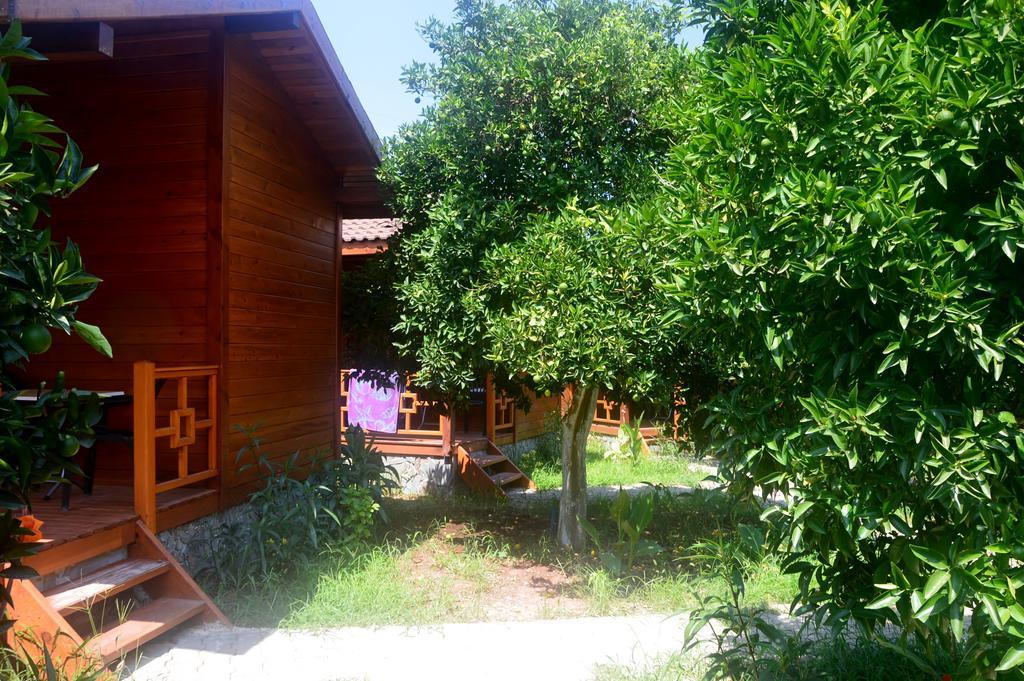 Safir Pansiyon Cirali Exterior photo