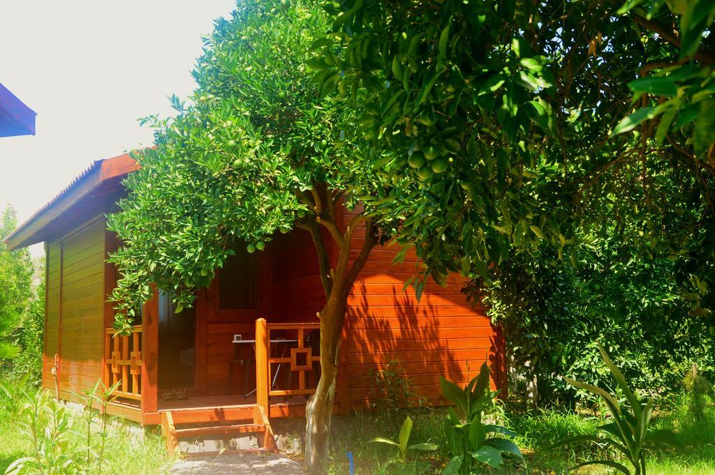 Safir Pansiyon Cirali Exterior photo